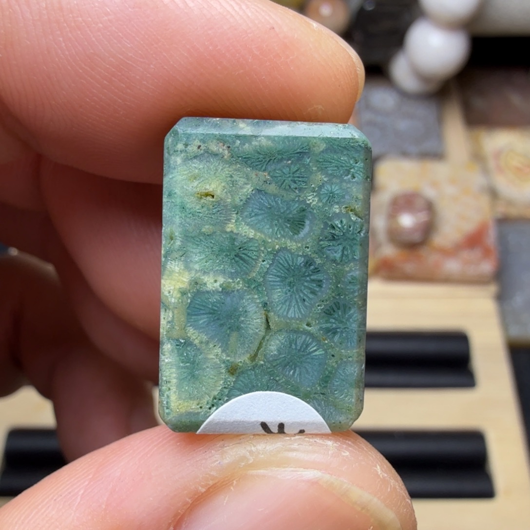 硅化玉未镶嵌纯天然色有机玉石宝真色