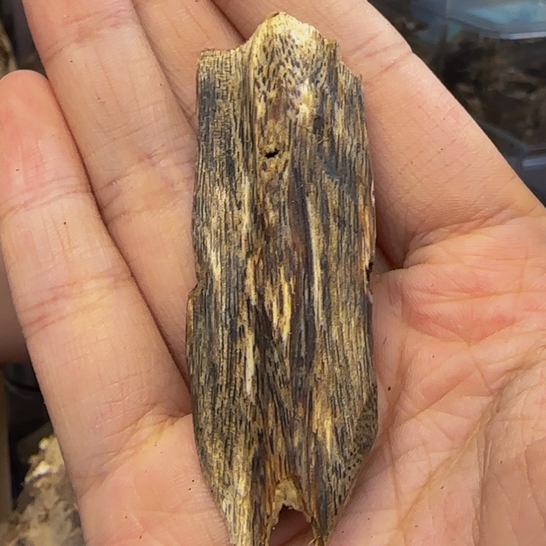 沉香碎屑沉香5克87