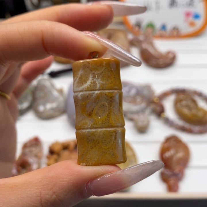 硅化玉颈饰未镶嵌竹节