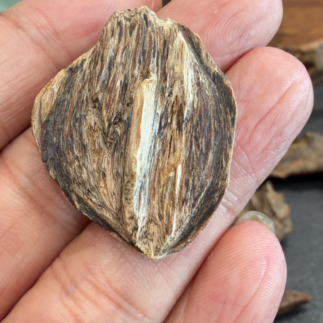树脂制品阳江虎斑棋 1.59 克，甜透，纯凉