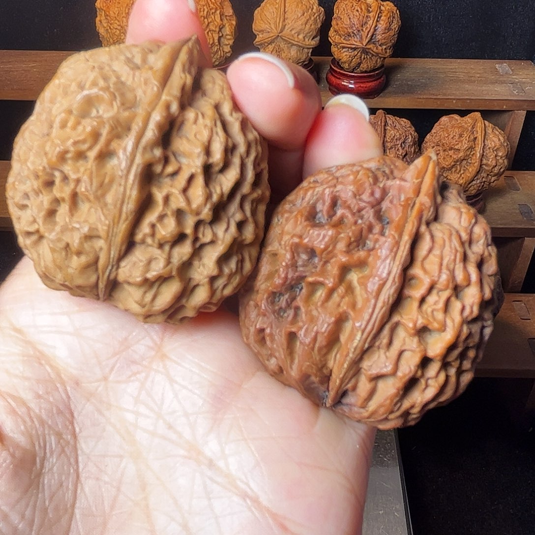 高山流水        45