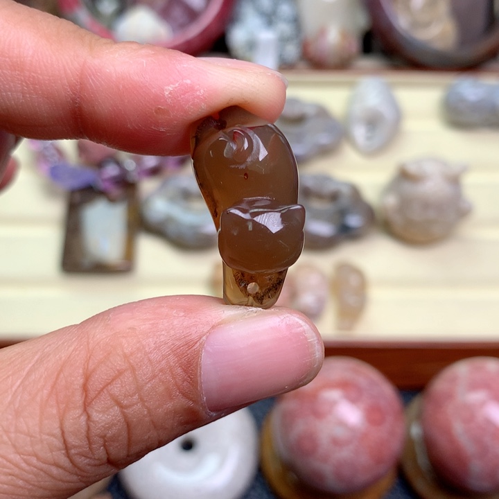 硅化珊瑚（珊瑚玉）未镶嵌颈饰