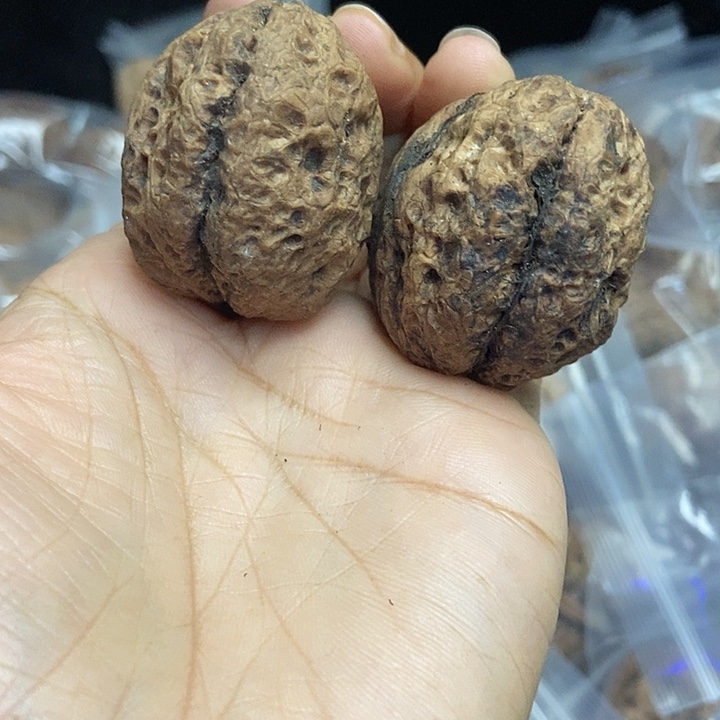 木质类云南铁核桃基地46