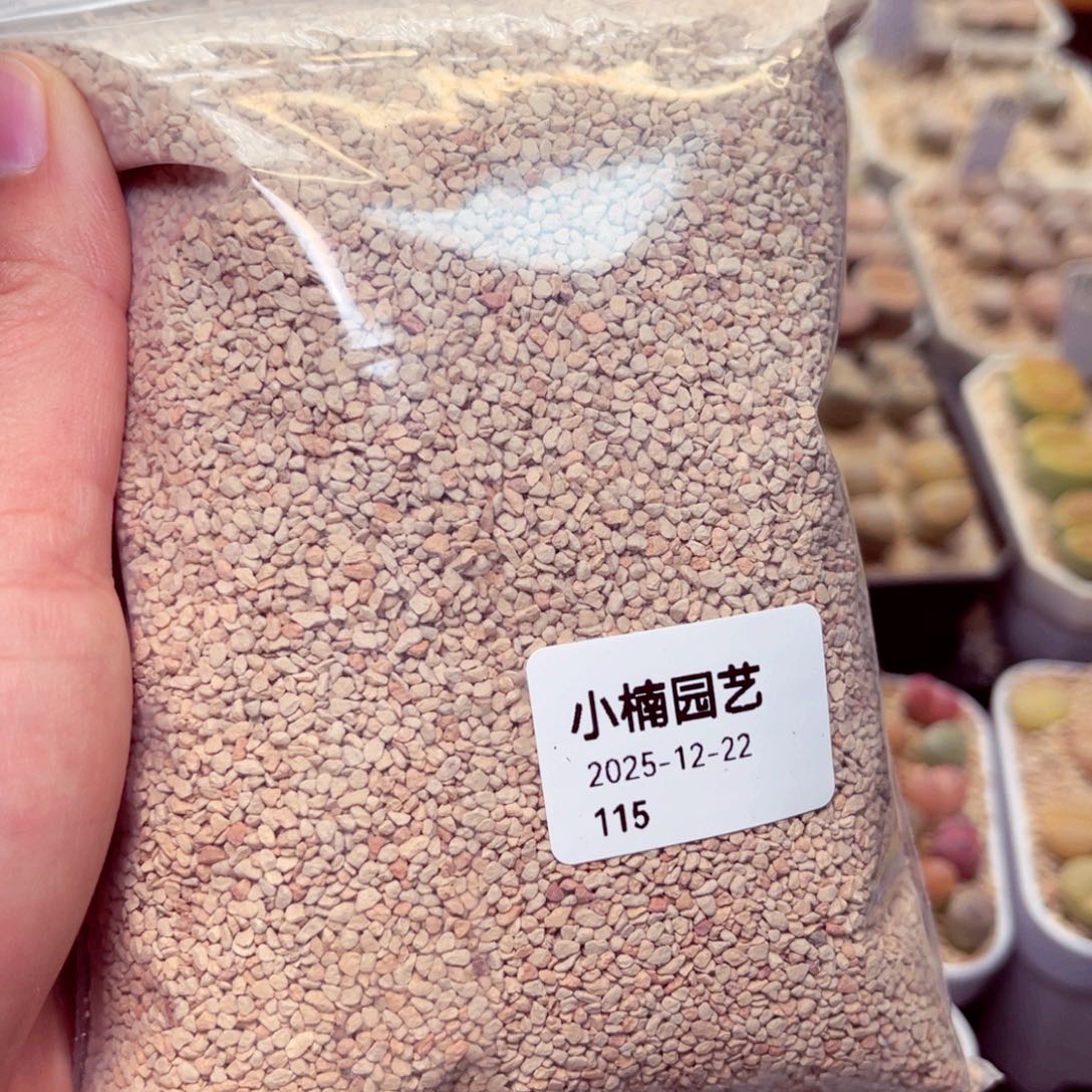 115号带盆盆包啊呜呜