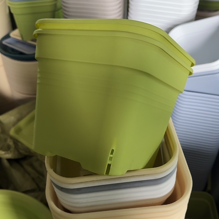 方21口径5个无托果绿新款