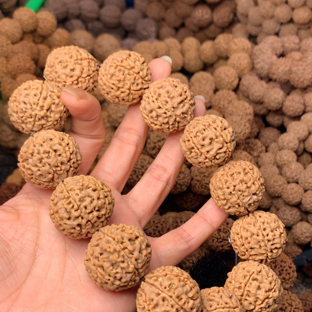 木7瓣金刚卡27尺寸，75号