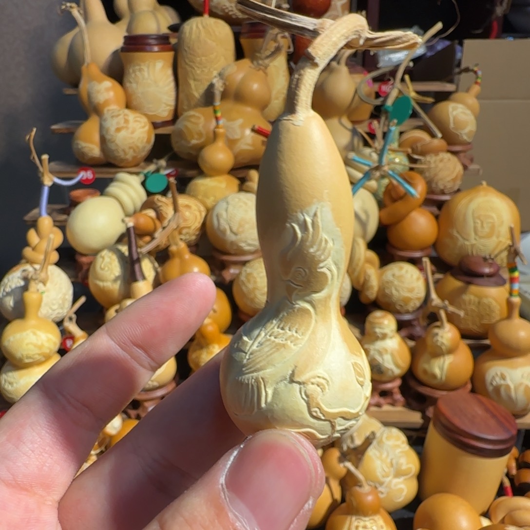 有机玻璃鹦鹉本捻