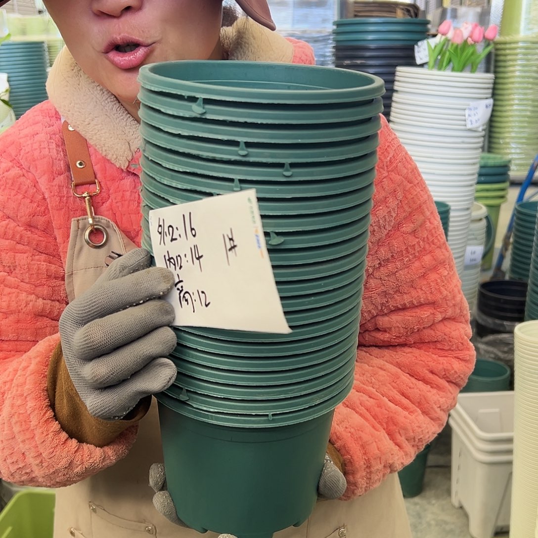 瑕疵矮胖1#墨绿色20个无托