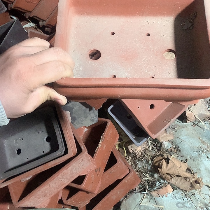 紫砂优秀奖等我回家拿