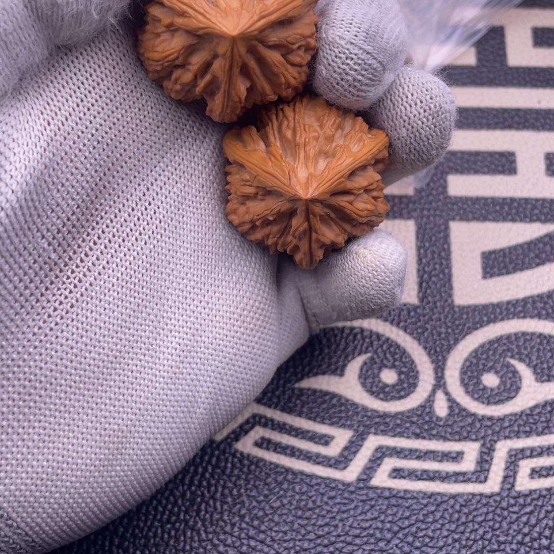 D****r39尺寸文山三棱子