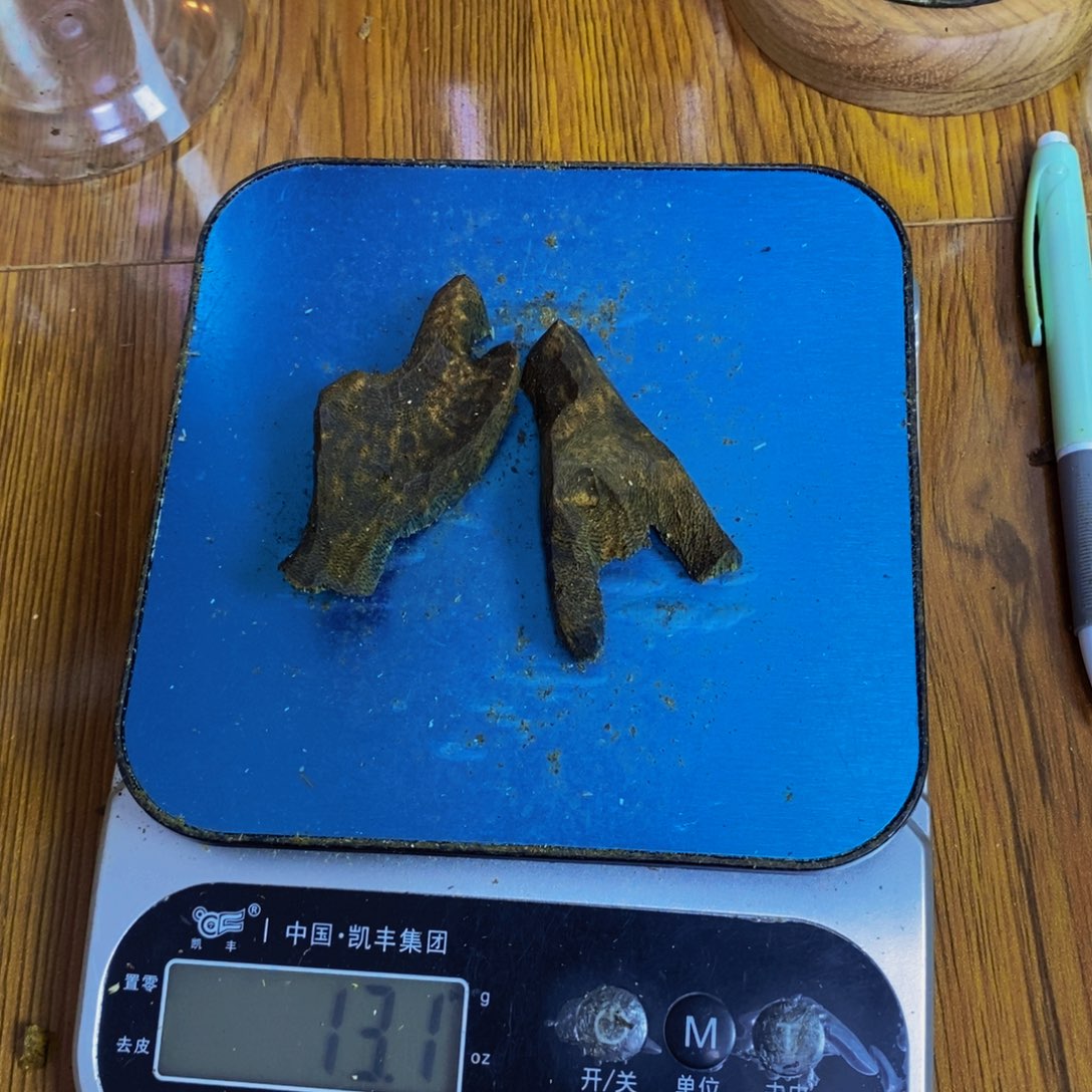 妄***念沉香碎屑沉香棋楠母树包壳13克