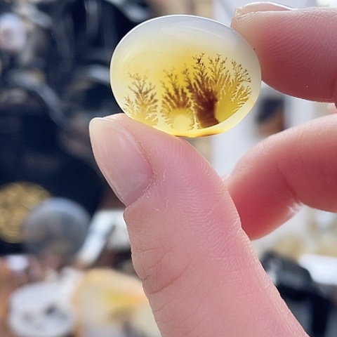 玛瑙/玉髓珠宝奇石未镶嵌