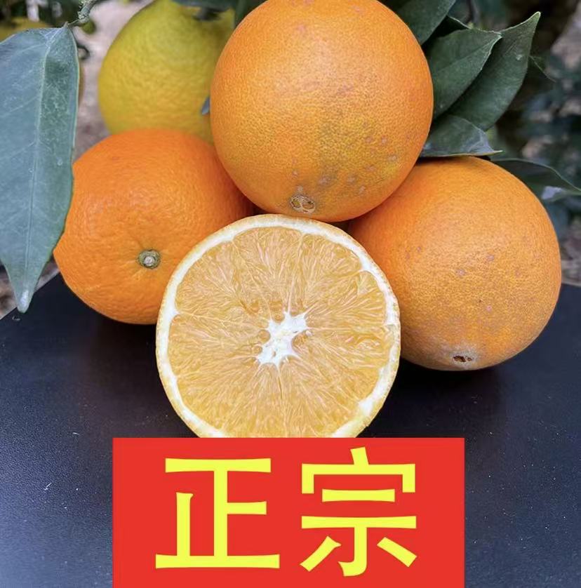 正宗赣南脐橙20斤装次果