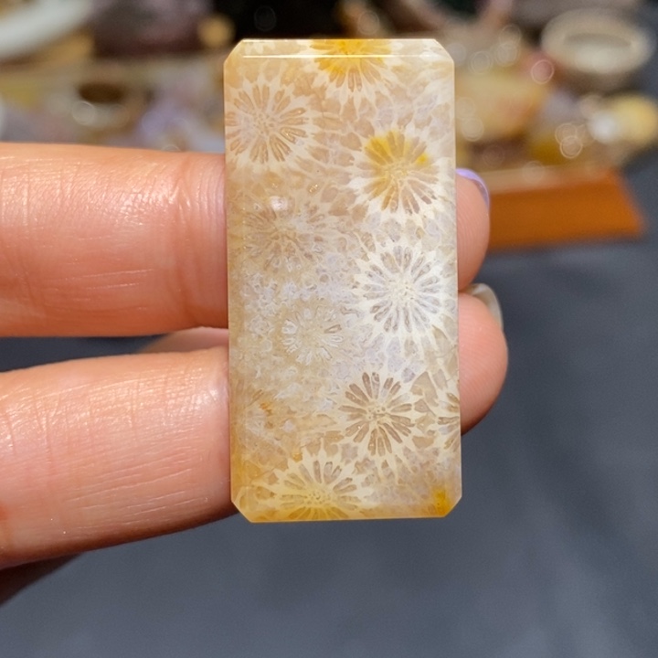 【闪购商品】未镶嵌珊瑚玉硅化玉