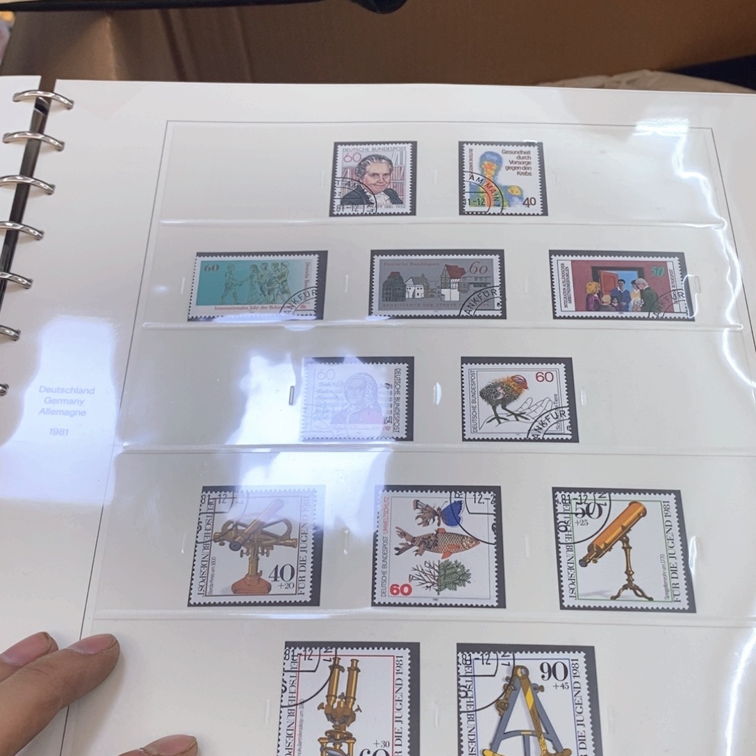 瓷片哈哈哈哈哈哈哈