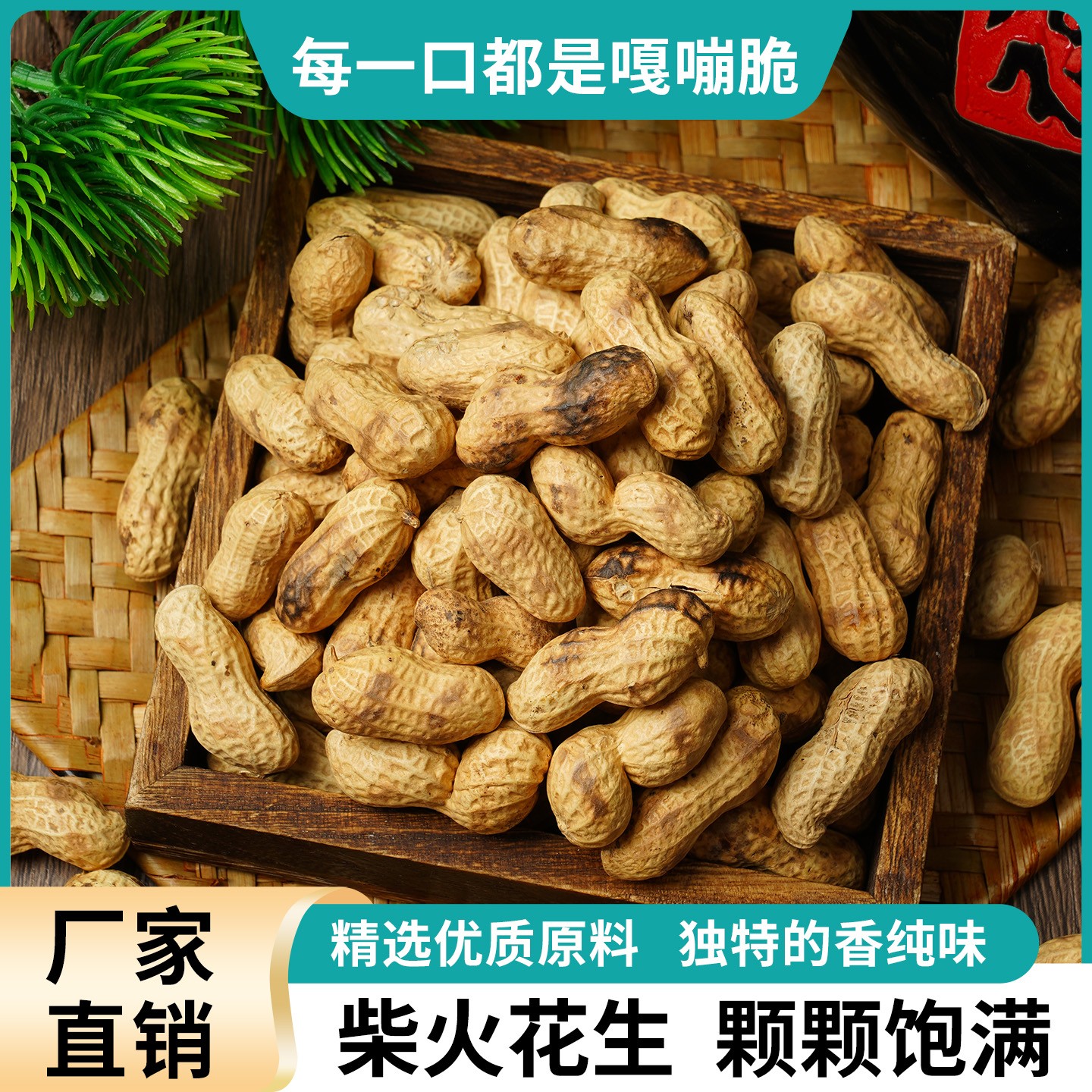 【2斤/5斤】柴火炒花生小珍珠原味花生带壳现炒炒货