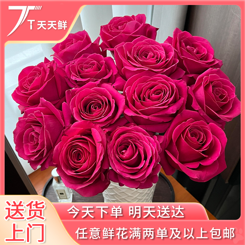 顺丰次日达【 5支  AA级 弗洛伊德 玫红玫瑰】鲜花任意两单顺丰送货上门