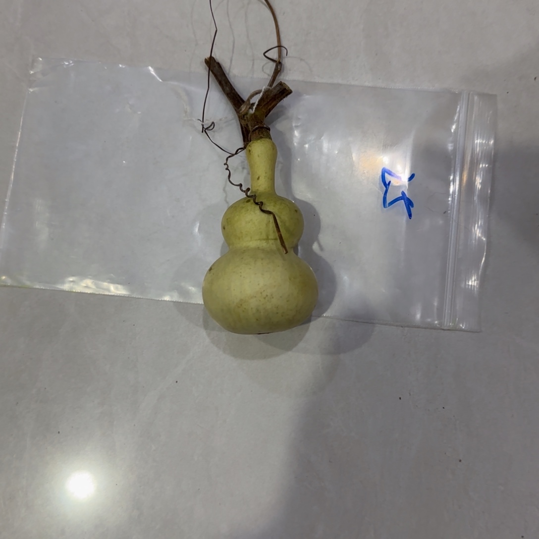****见青皮不包成青皮不包成