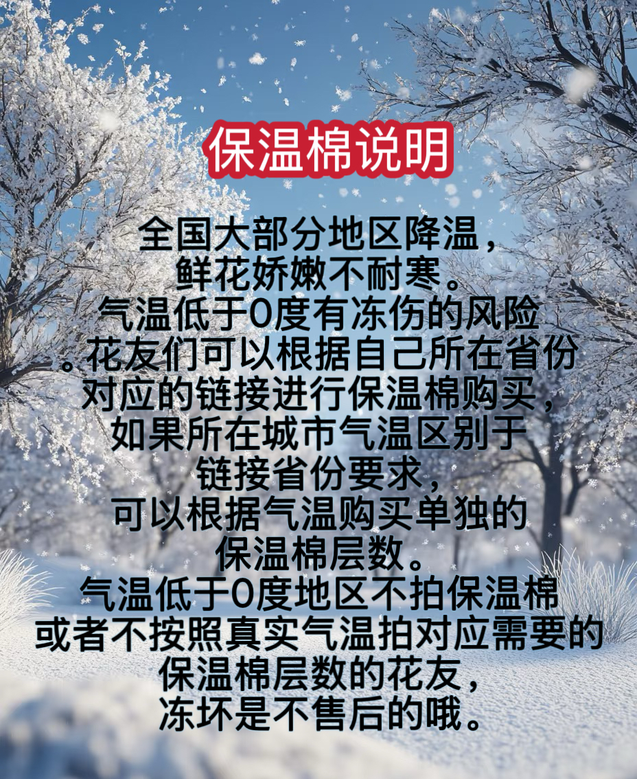 【高档保温棉】0度以下必须拍谨防冻坏 气温低于0度地区没拍不售后