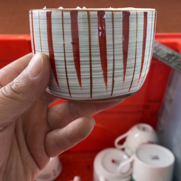 碟开播了开播了开播了