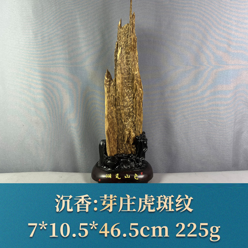 67231 芽庄虎斑纹 沉香