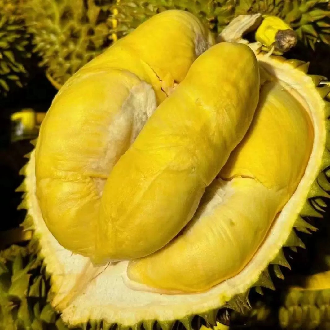 【榴一鸣】熟熟金枕榴莲新鲜树上熟核小肉厚一物一拍3-9斤上海同城闪送金枕泰国东部