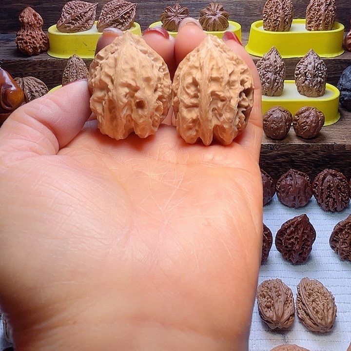 核桃10号车放漏漏咯