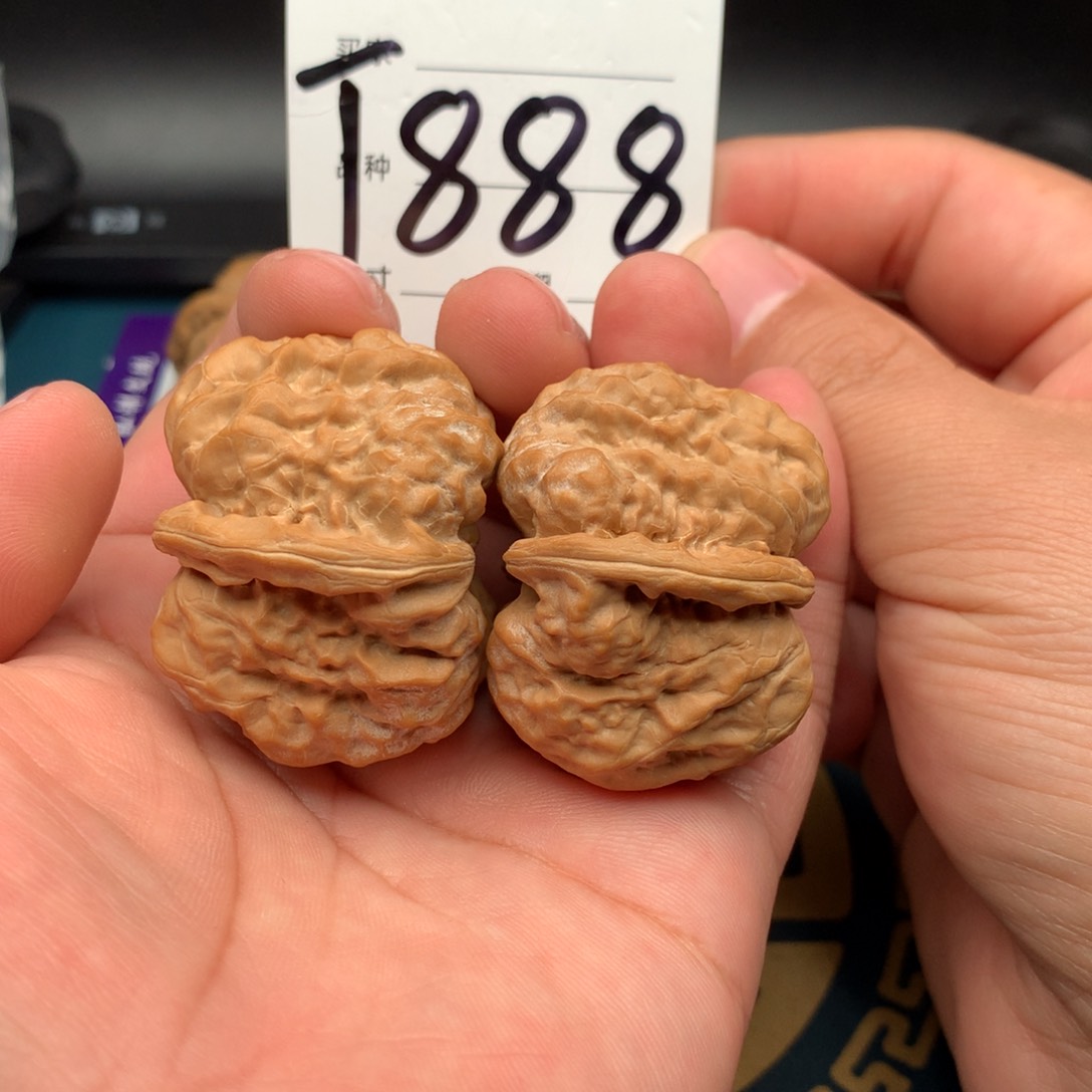 文玩核桃把件42.5蛤蟆888