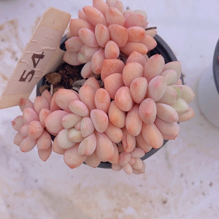 健健康康平平安安