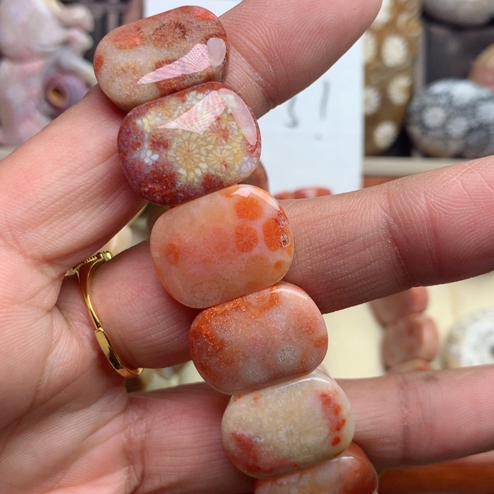 硅化珊瑚（珊瑚玉）颈饰未镶嵌