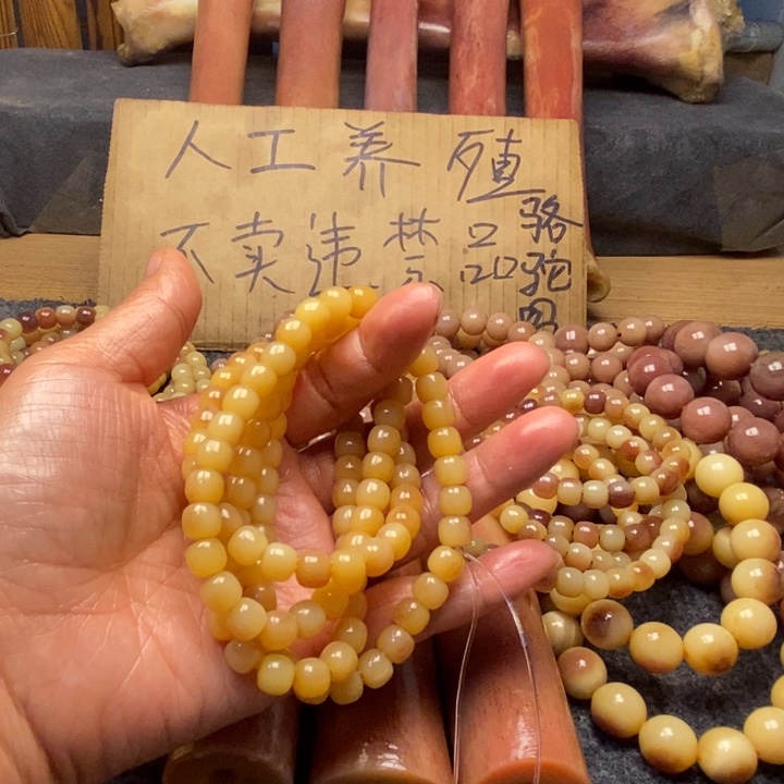 驼骨手串/手链189654892586