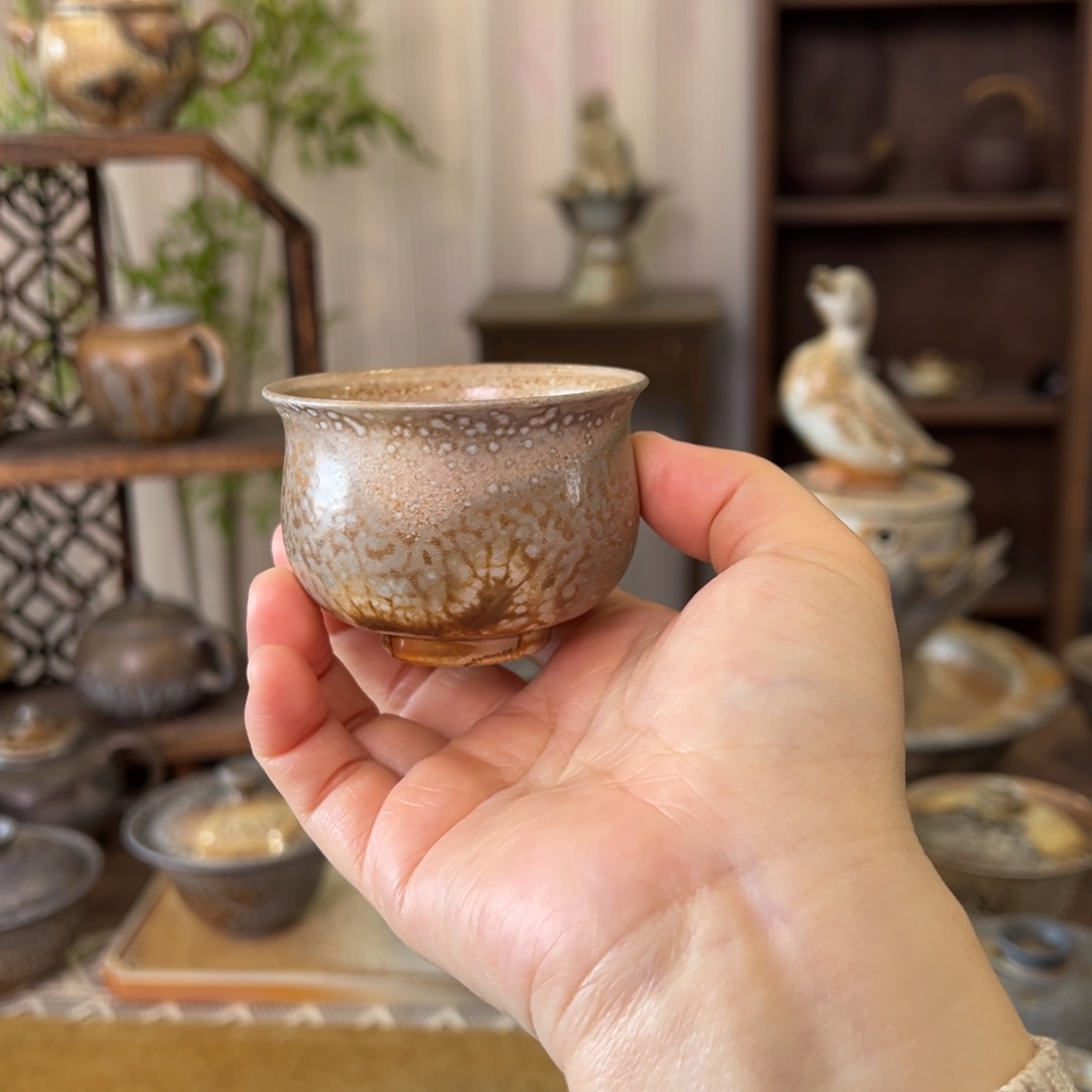 14中白精品主人杯