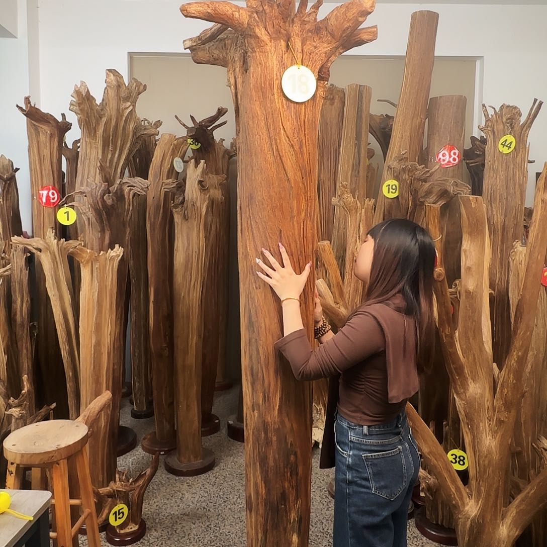 沉香沉香碎屑天然沉香原材料香料熏料