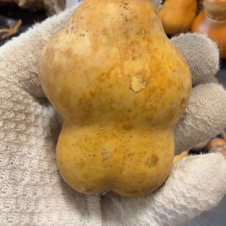 吭***犟666666667777777788888