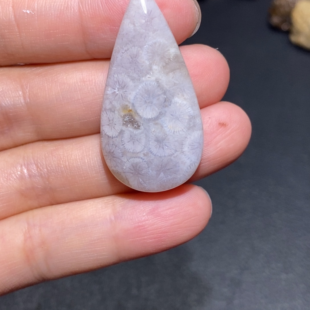 【闪购商品】未镶嵌珊瑚玉硅化玉