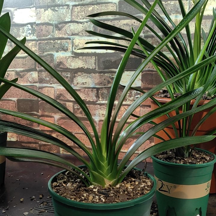 完全开放111111111