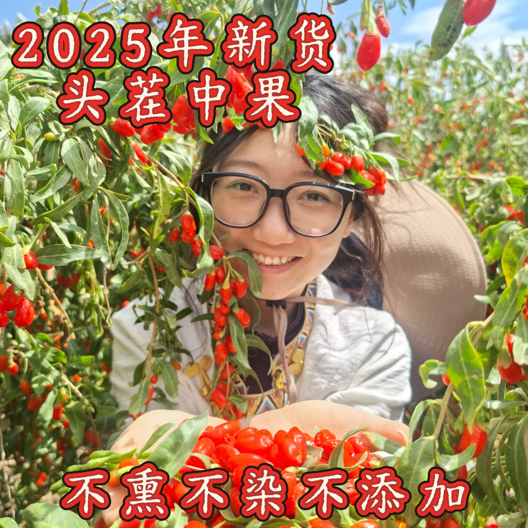 25年头茬【中果】青海柴达木红枸杞 0熏0染自然晾晒颗粒饱满