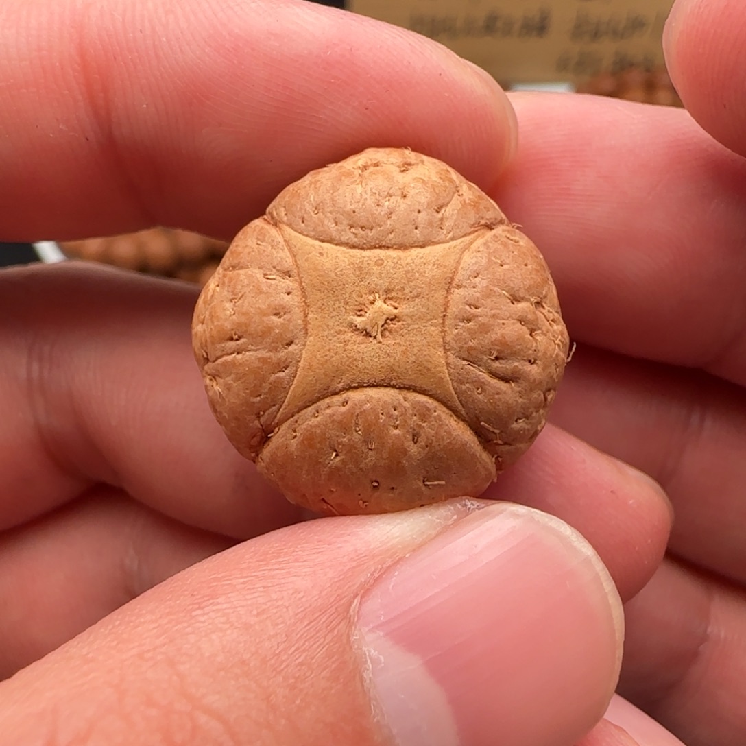 T***B麒麟眼菩提吊坠22➕精品麒麟