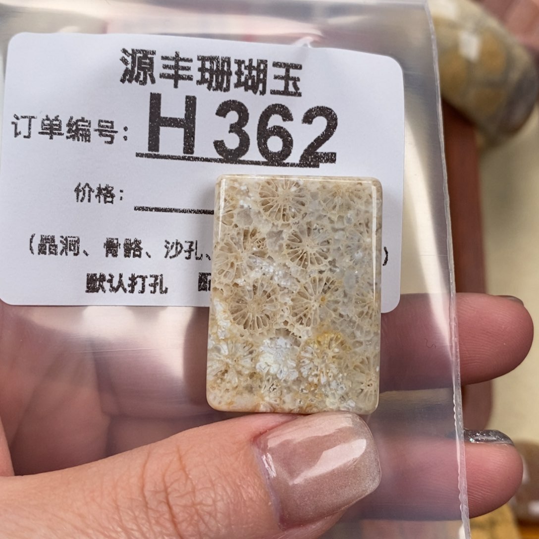 硅化玉颈饰未镶嵌是*人
