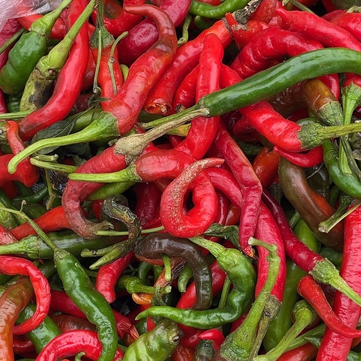 中国大陆本地辣椒1斤如图
