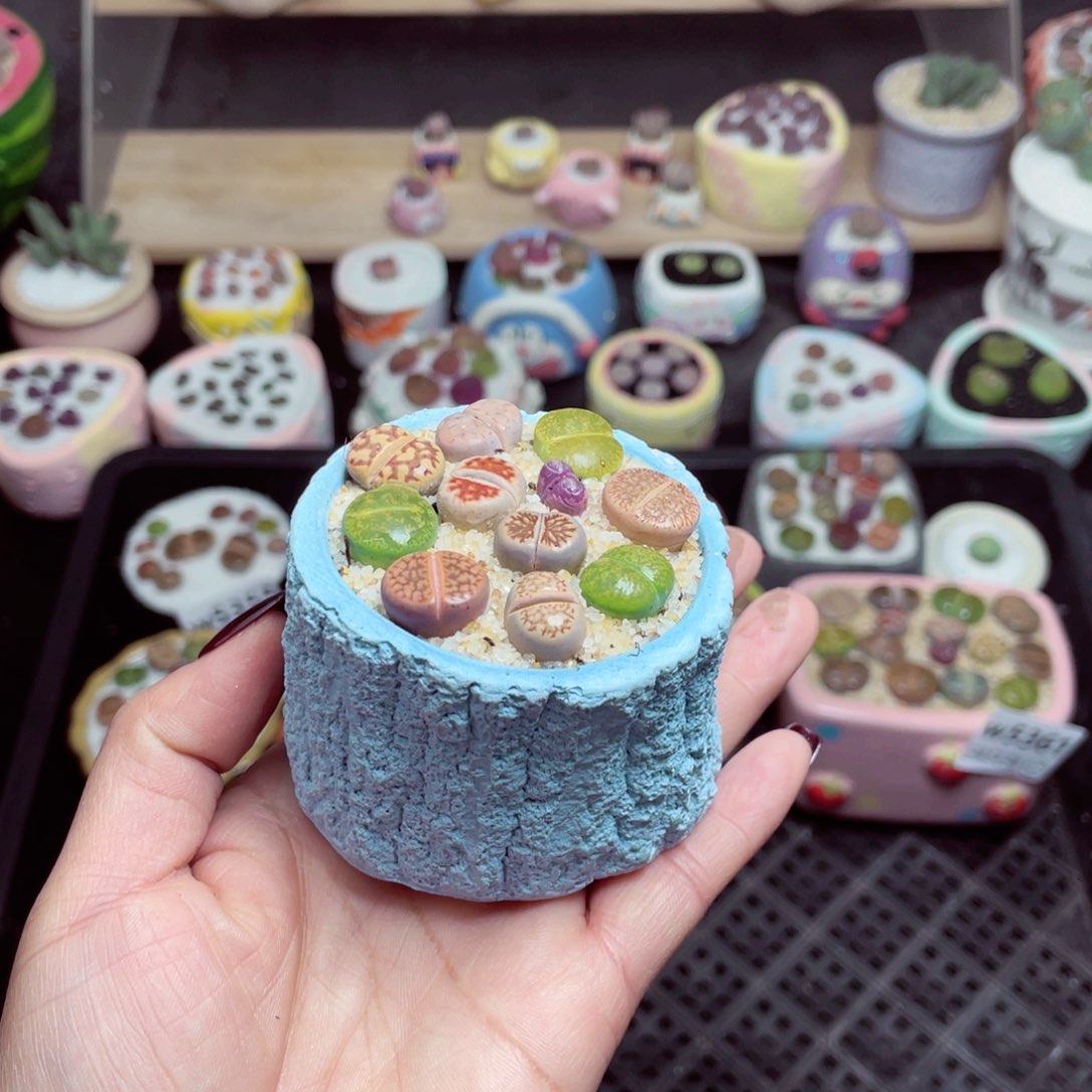 w5364 -零下地区拍保温箱-15支持寄养