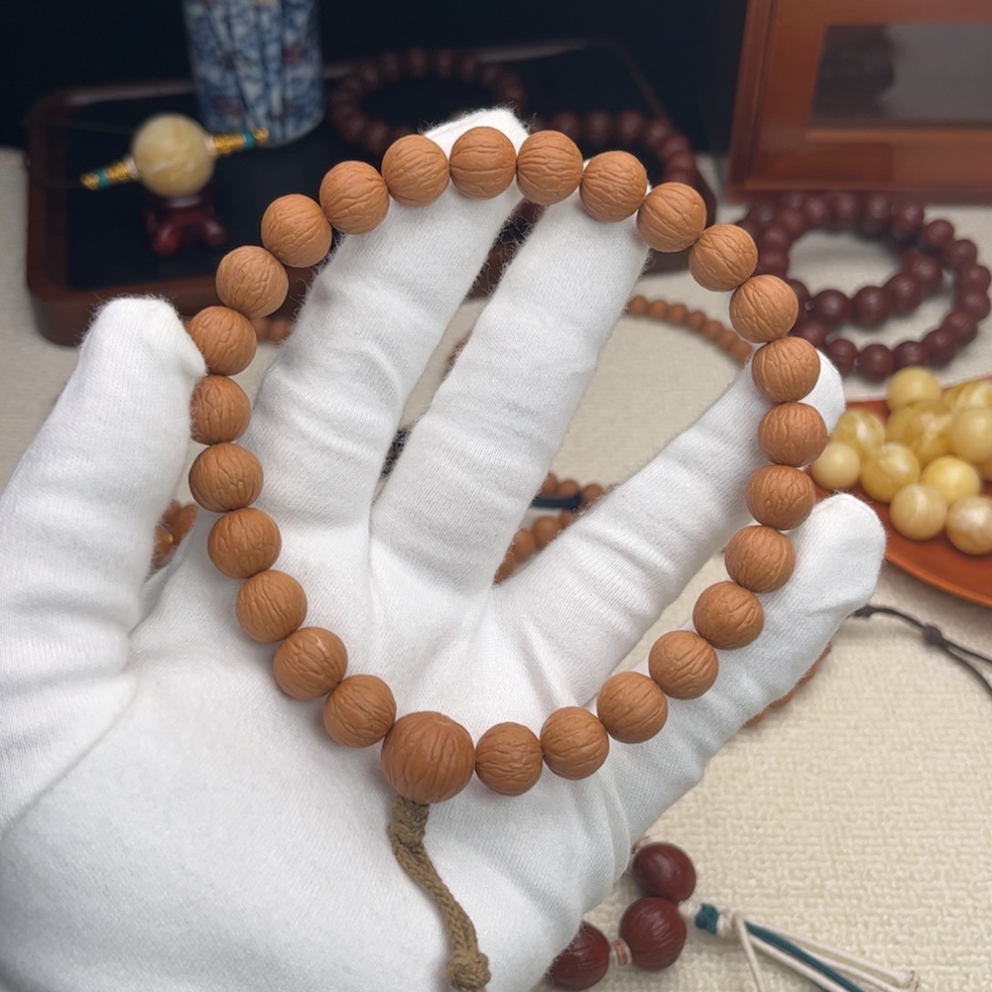 核桃猴头核桃凤羽12.3强迫症（矮庄）