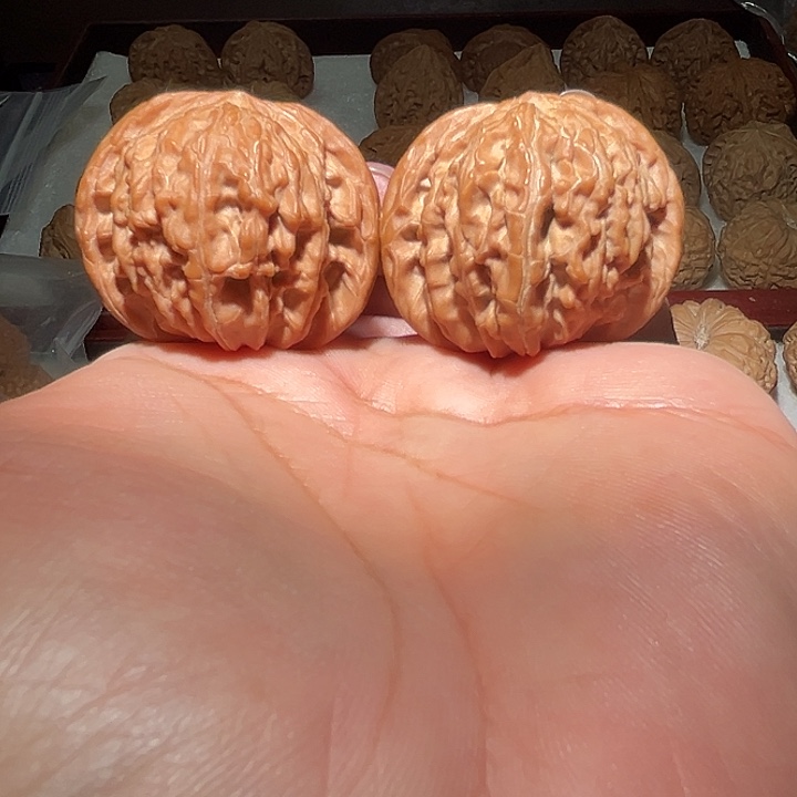 木41磨盘狮子头。 