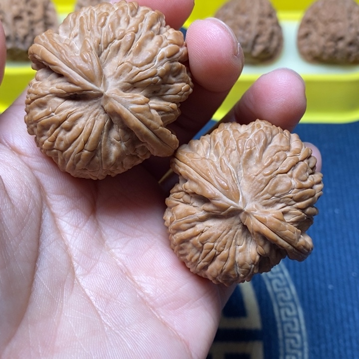 文玩核桃白狮子42