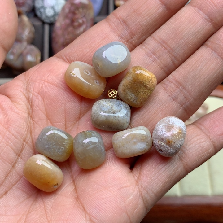 硅化珊瑚（珊瑚玉）颈饰未镶嵌