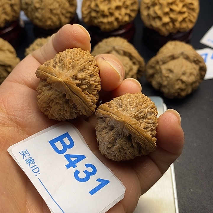 蹲***感核桃蒜头3.1，高3:9，有修