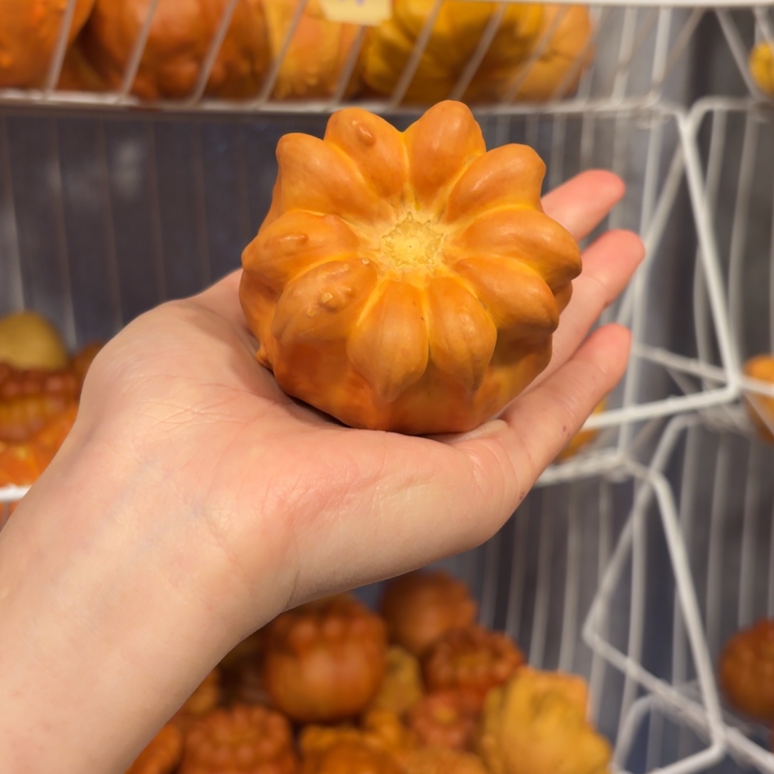 墨西哥葫芦双色花罐响籽