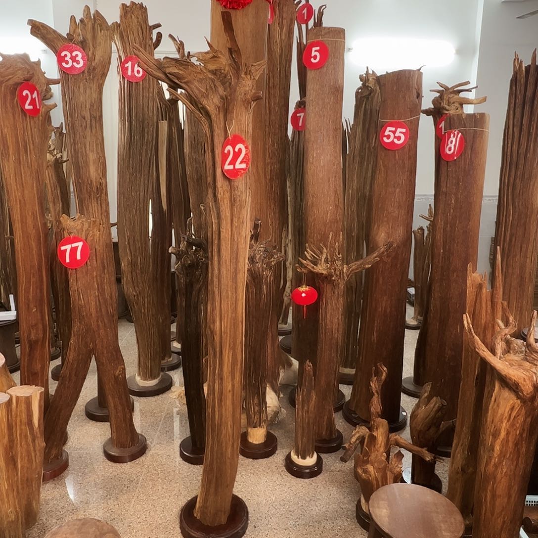 满***爷沉香摆件沉香原料H