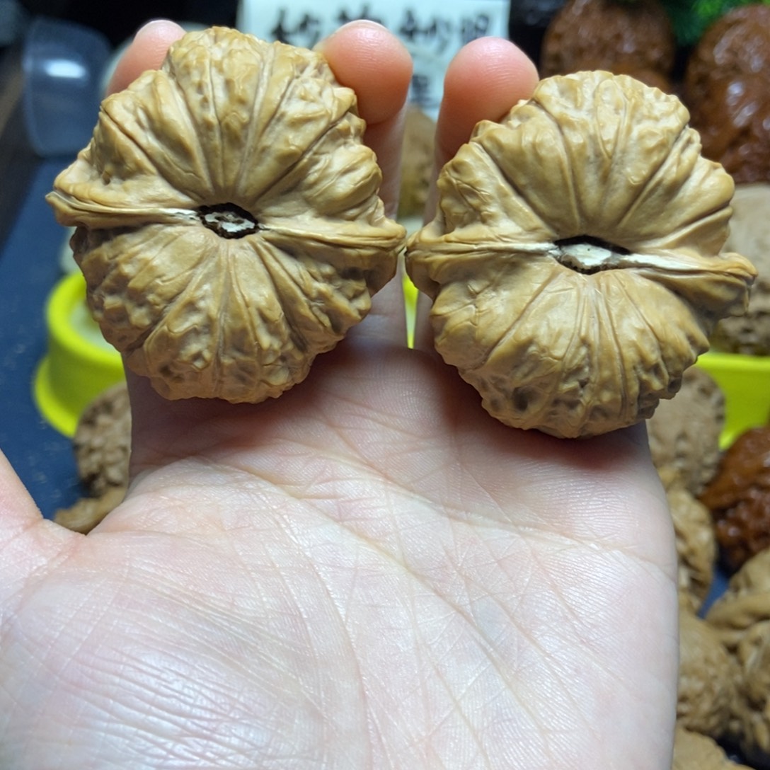 核桃南瓜墩新果全品44尺1