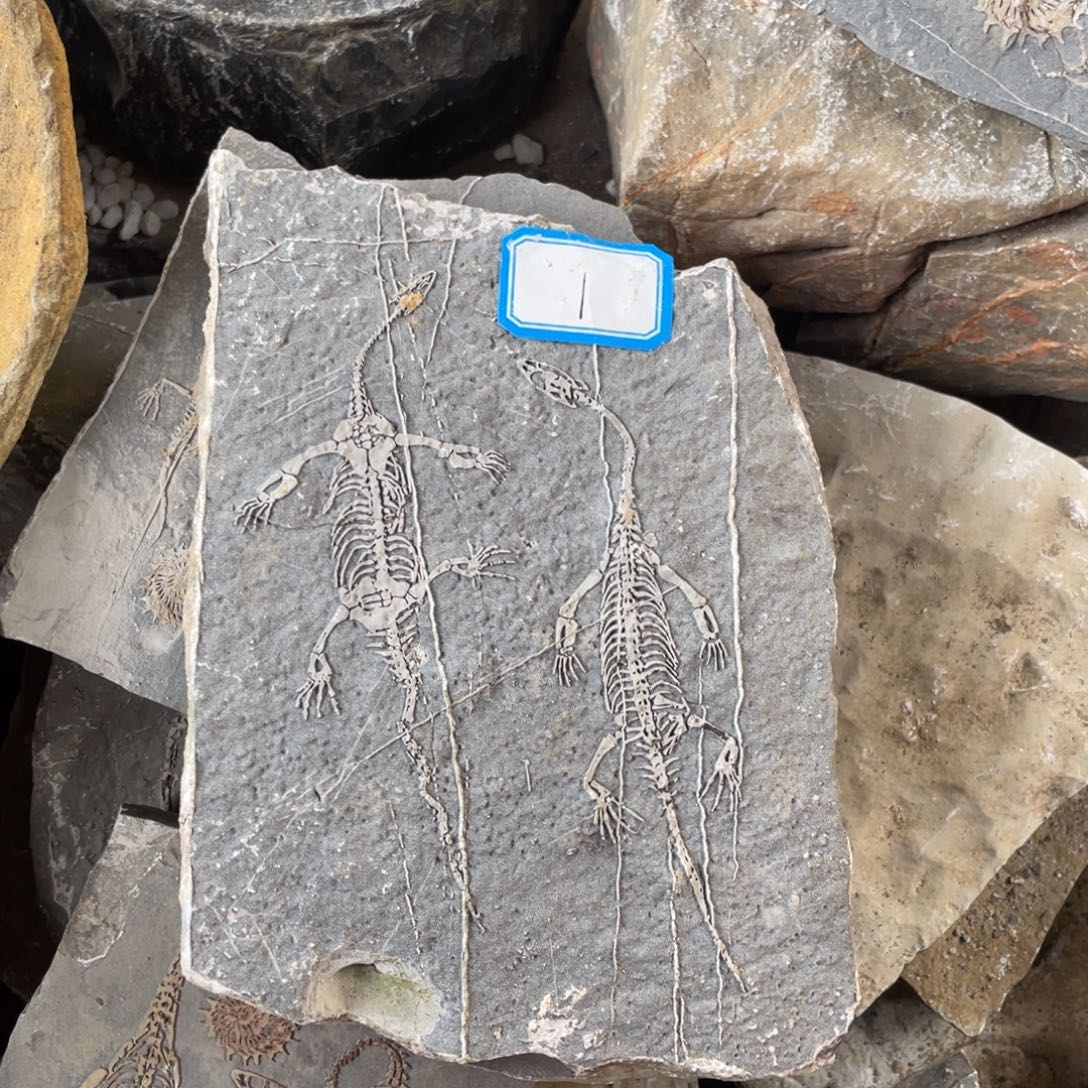 石材11111111111111111111